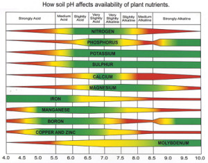 soil ph nutrient chart