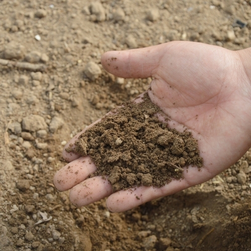 Soil Testing