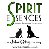 Spirit Essence