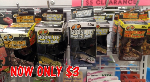 LAST DAYS! Clearance $5 DEALS! NOW ONLY $3