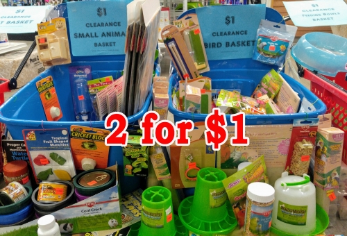 LAST DAYS! Clearance $1 - NOW 2 for $1