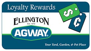 loyalty card image