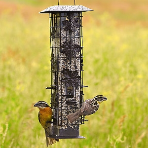 Bird Feeders Agway Wild Birding Center West Chester Pa