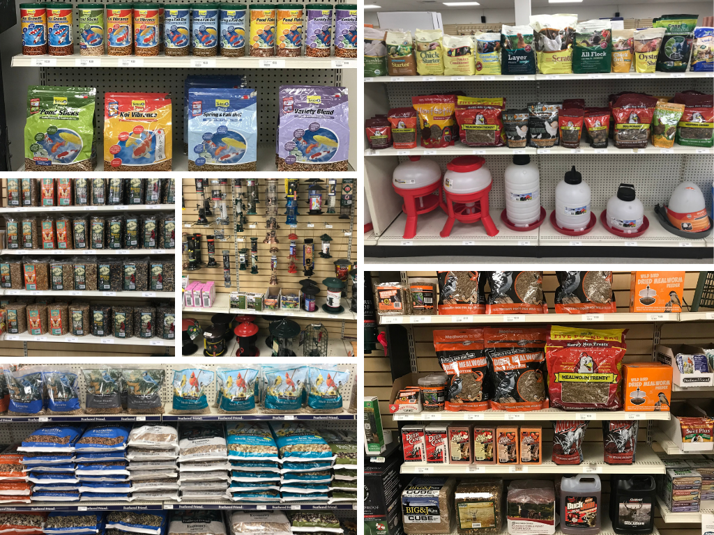inside of store photos