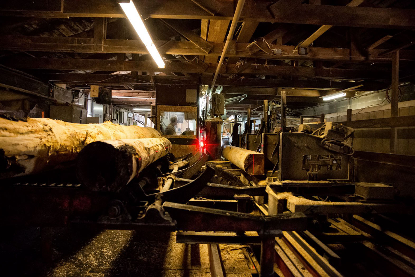 Hammond Lumber Mills Again Are First in Safety Hammond Lumber Company