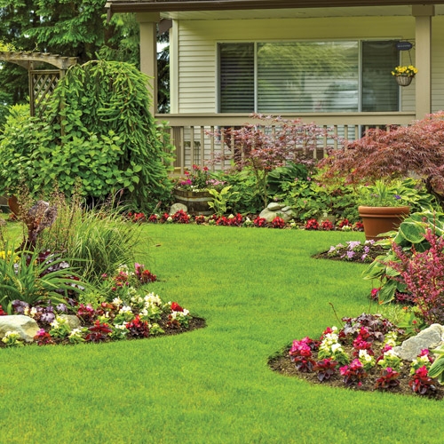 Lawn & Garden