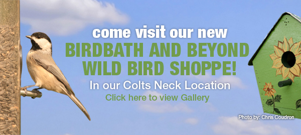 Visit Brocks Birdbath & Beyond banner for mobile
