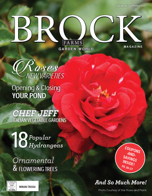 Koi Pond Store NJ, Fountain store in freehold, New Jersey Statuary