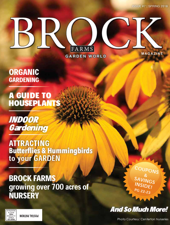 Koi Pond Store NJ, Fountain store in freehold, New Jersey Statuary