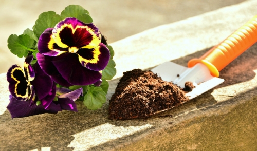Spring Cleaning For Your Garden