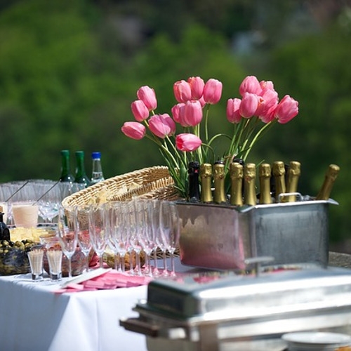 Party Rentals