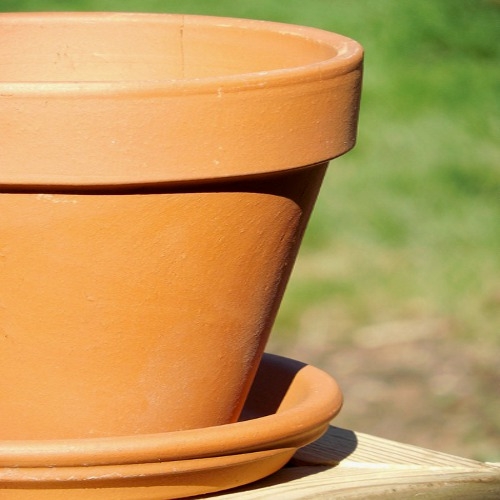 Potting Services