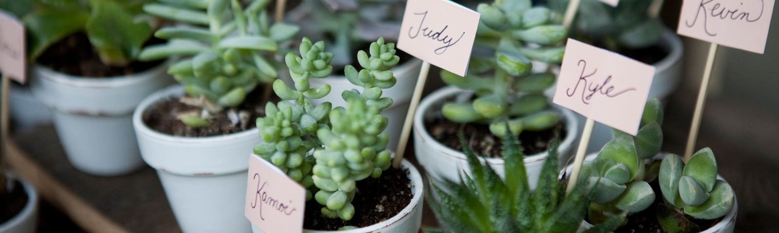 greenhouse image