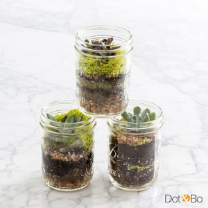 Mason Jar Terrarium Workshop