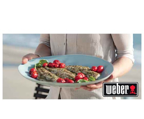Full Service Weber Dealer