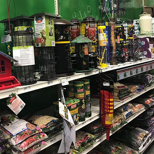 ace hardware pet supplies