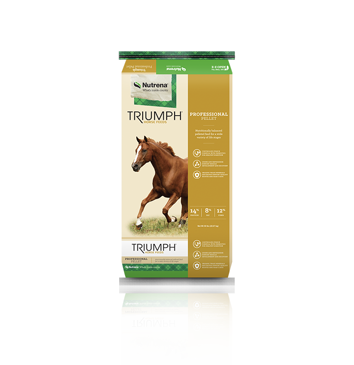 Triumph Professional Horse Feed