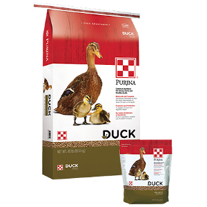 Purina® Duck Feed Pellets 40 lbs. | Robbie's Feed & Supply - Miami, FL