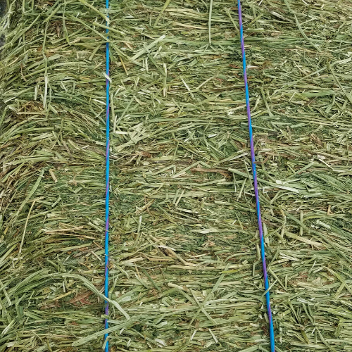 Departments, Standlee Hay, Grass Seed, Livestock Supplies, Fencing & More Farm and Home