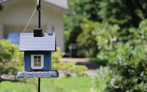 Summertime Bird Feeding & Houses